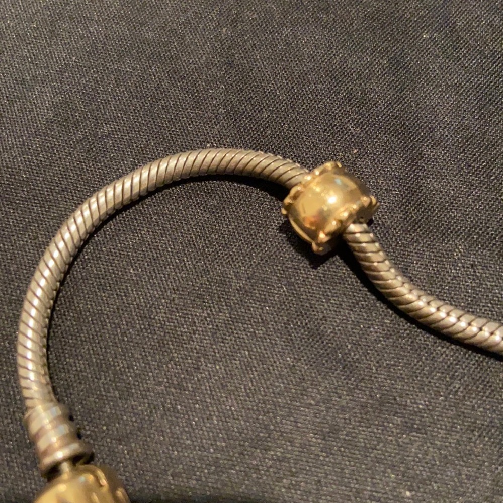 Pandora charm